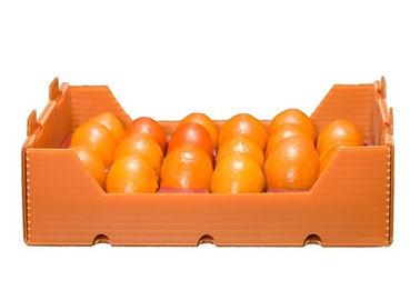 جعبه بسته بندی PP گل حل شده PPP Solution Fruit 4mm