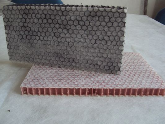 پانل های لانه زنبوری پلاستیکی تو خالی با مقاومت بالا برای ساختن